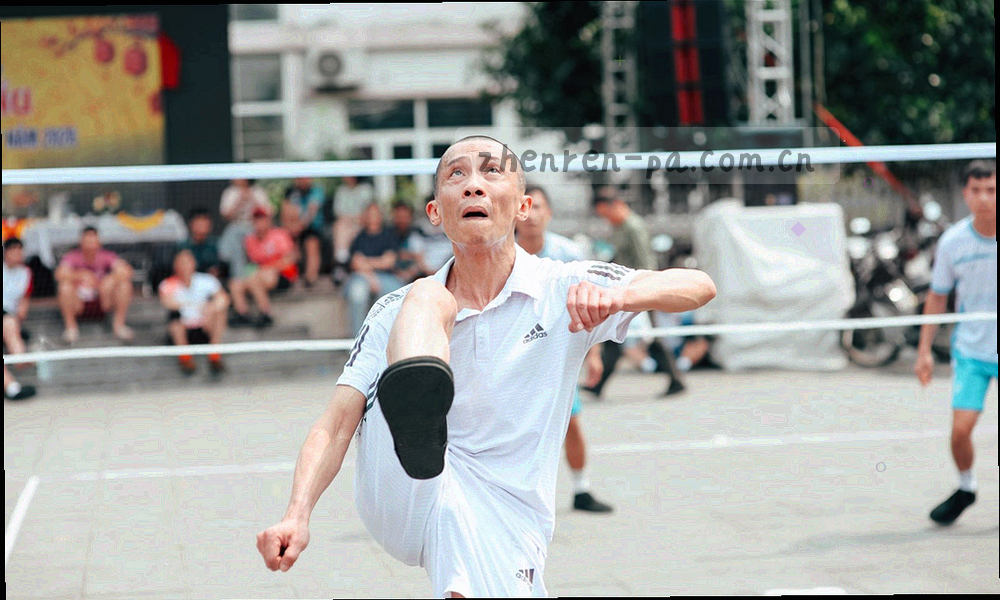 三个依次相连的选择框代表品牌、版本与分类，末端连线指向一份条目列表